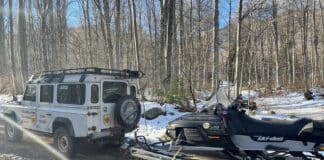 Моторна шейна