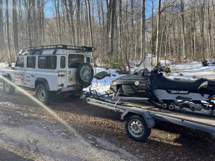 Моторна шейна