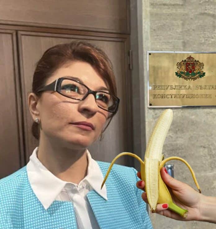 Пред конституционния съд