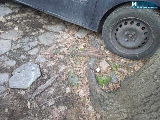 Ул. "Шейново"