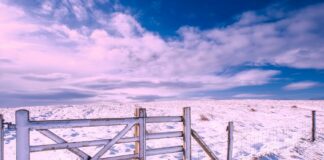 Сняг, Англия.