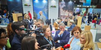 Зарица Динкова