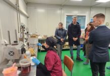 Предприятие за шипки