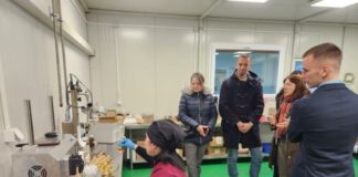 Предприятие за шипки