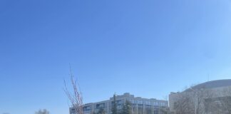 Акция на Гората.бг