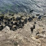 Автомобилните гуми