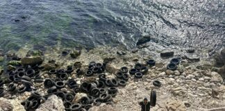 Автомобилните гуми