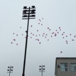 Балони срещу насилието