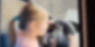 Дете шофира