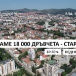 Засаждане на дървета