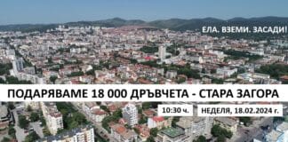 Засаждане на дървета