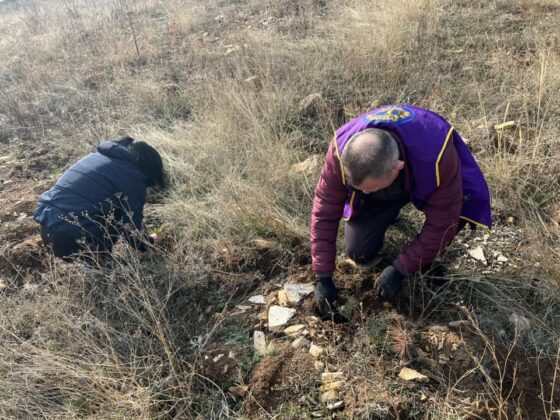 Засаждане на дървета