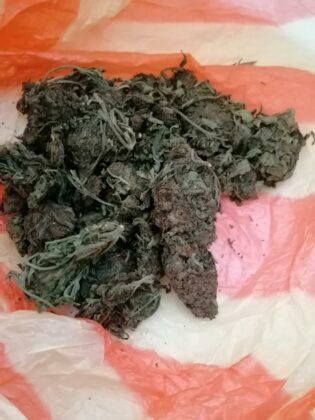 Наркотици, дрога