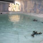 Експозицията