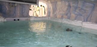 Експозицията