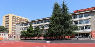 Училищни спортни площадки