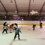 Хокей на лед