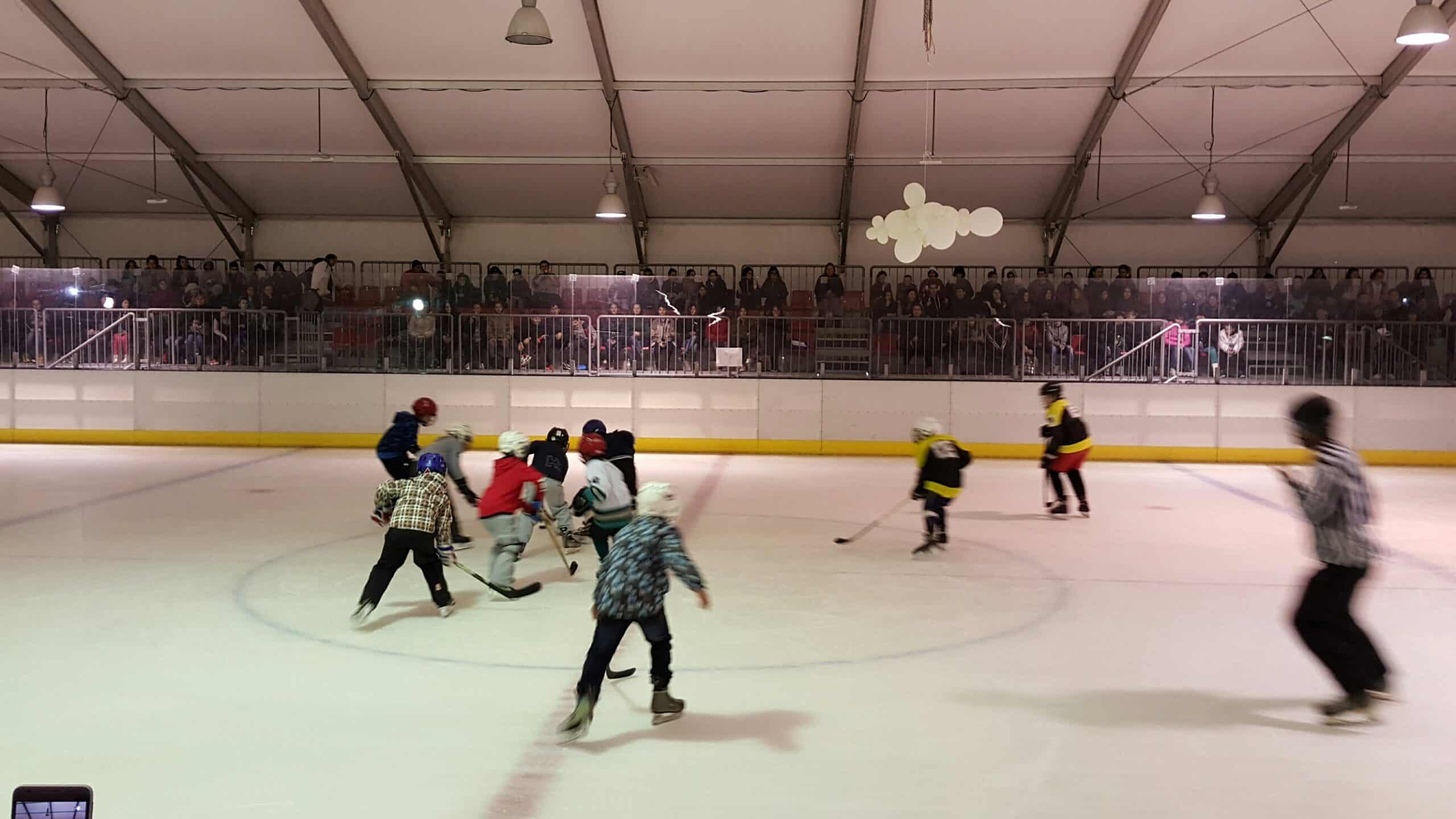 Утре започва записването за начално обучение по ледени спортове за