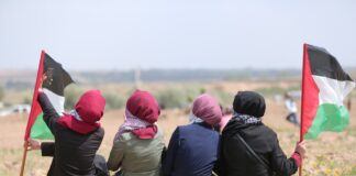 Ивицата Газа. Снимка: Пиксабей