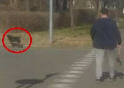 Свидетели на поредица от тревожни инциденти свързани с безотговорното поведение