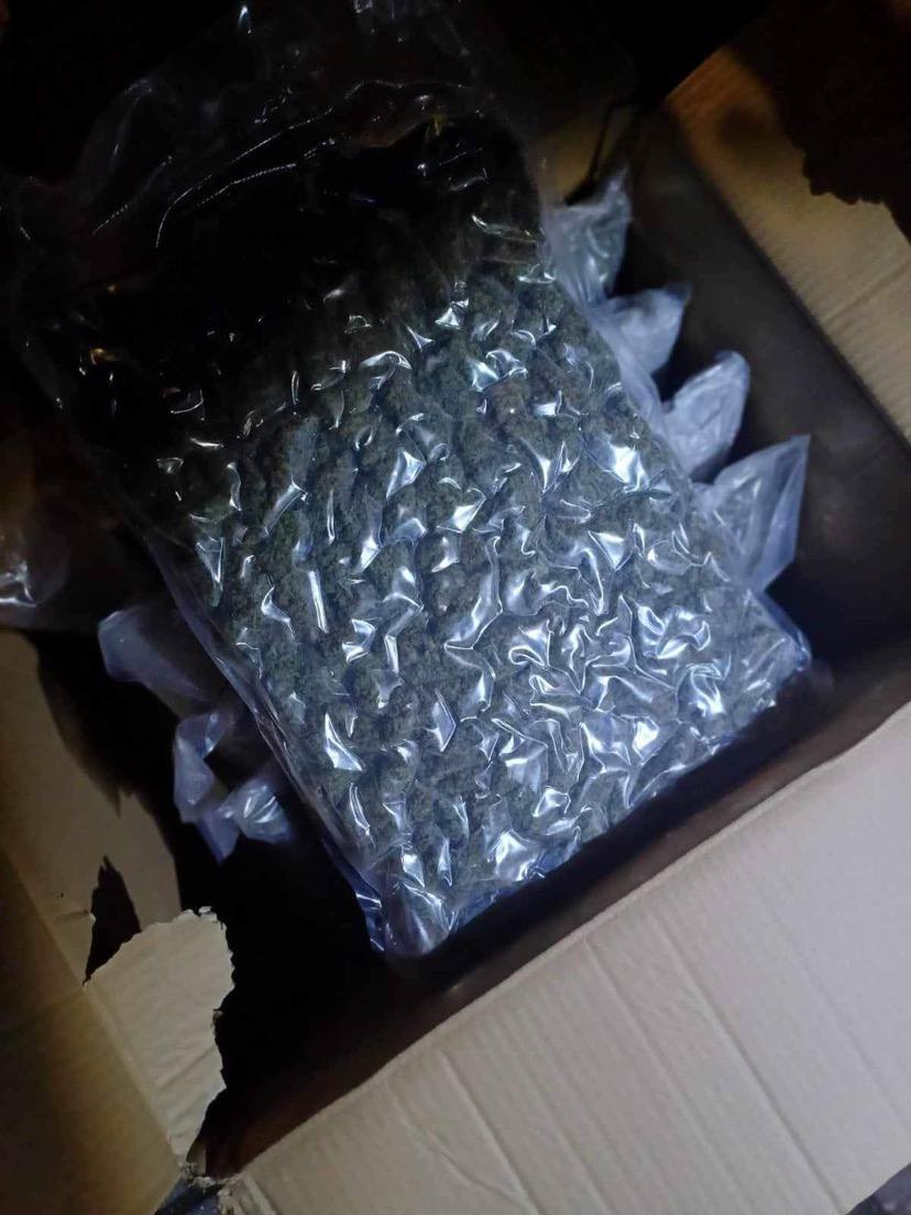 Огромно количество марихуана е била разкриха край Пловдив при съвместна