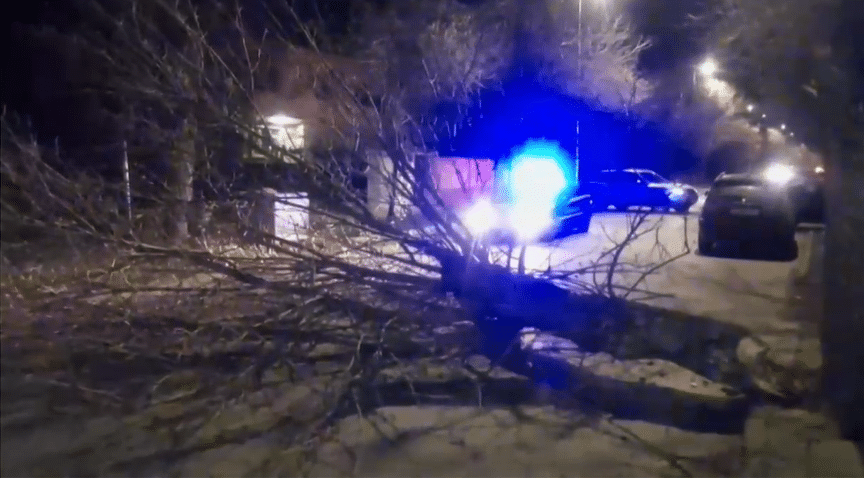 Няколко температурни рекорда са били регистрирани в Хасково и областта