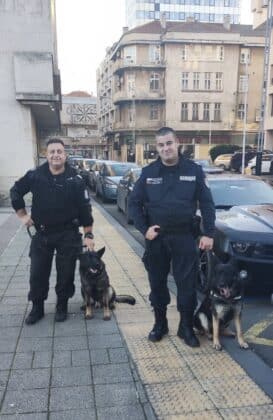 Полицейско куче