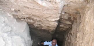 Проф. Людмил Вагалински