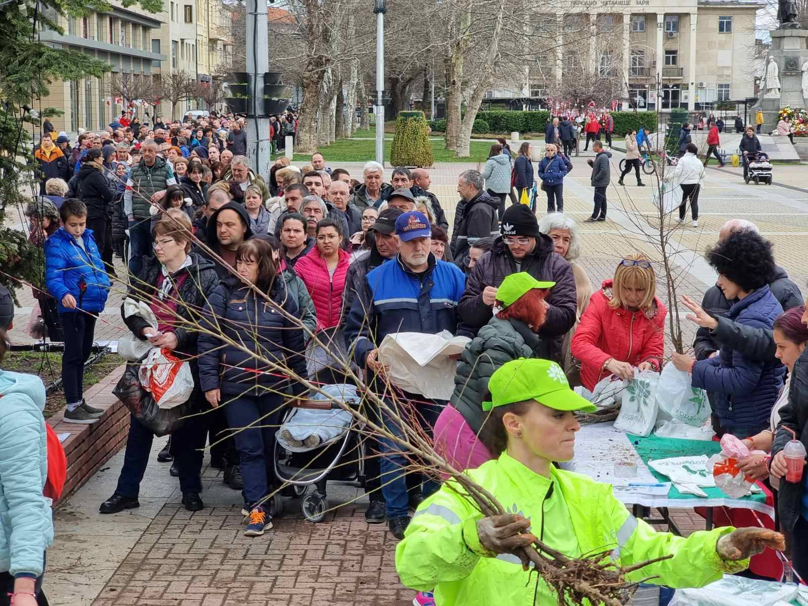 Още 53 300 плодни медоносни и паркови дръвчета ще бъдат