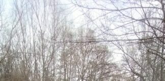 Радова река