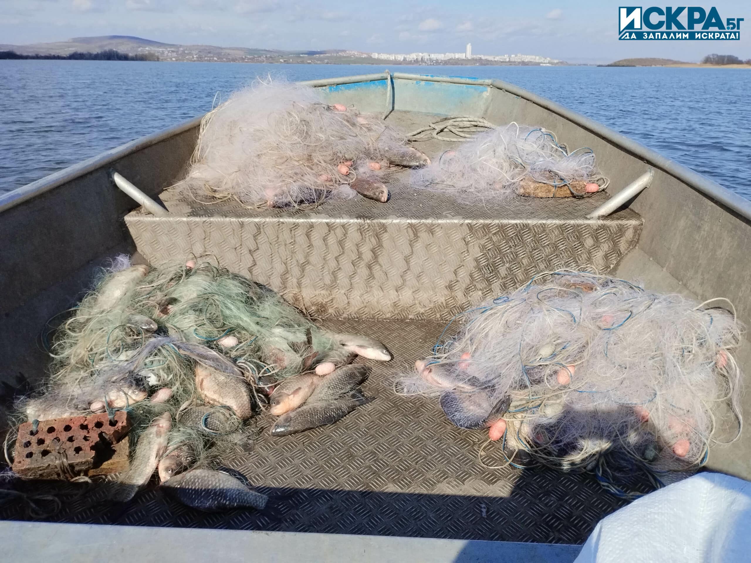 Общо количество от 120 кг риба е било открито в