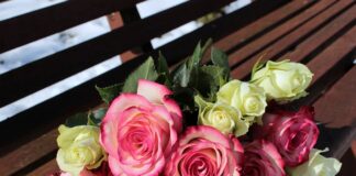 Рози, цветя