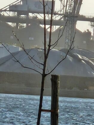 Насипни товари, пристанище