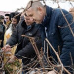 Трифон Зарезан