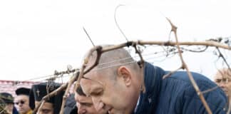 Трифон Зарезан