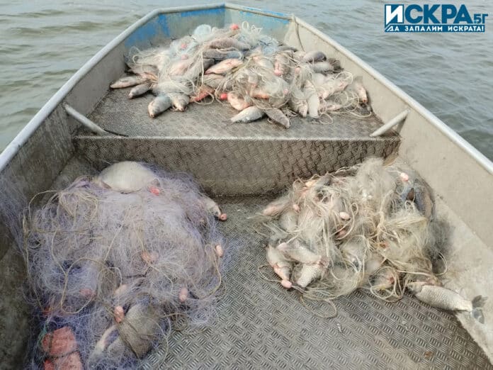 Уловена риба в язовир Мандра