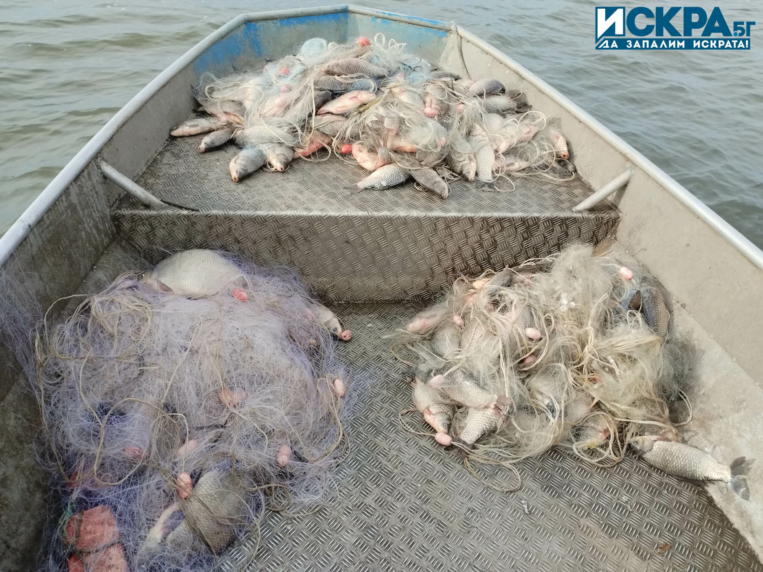 Уловена риба в язовир Мандра Снимка Искра бг
Няколко успешни акции са