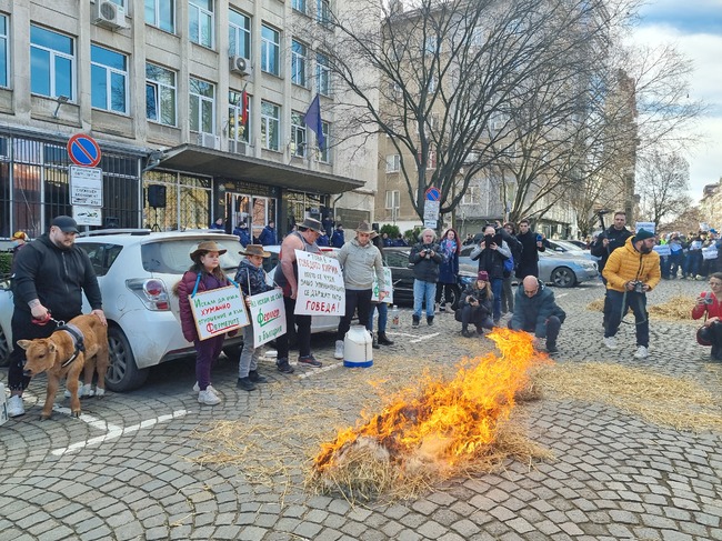 Фермерите изразиха своето недоволство със силна демонстрация пред Министерството на