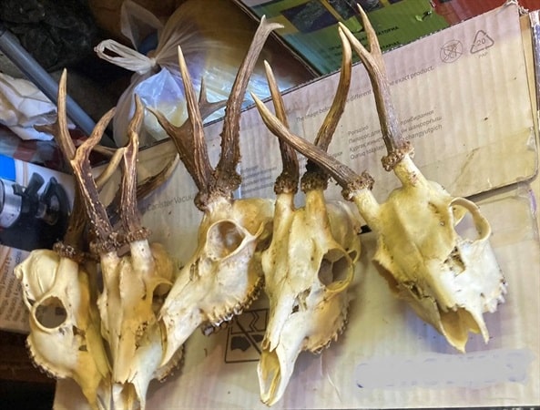 В рамките на специализирана полицейска операция по линиите бракониерство и