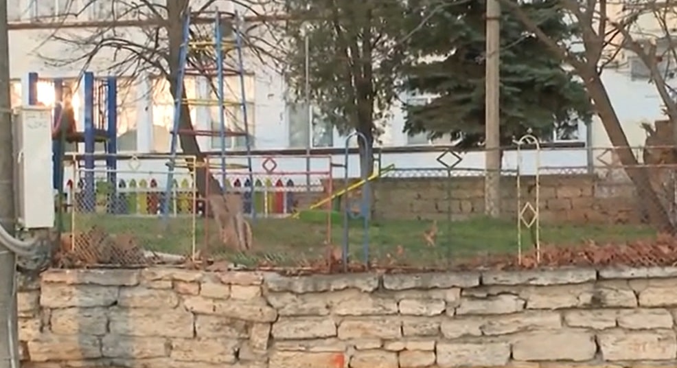 Най малко 5 кучета са били умишлено отровени през изминалите 2