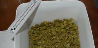 Дрога, марихуана