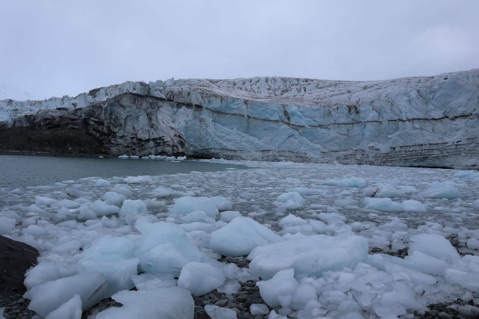 Регионалният природонаучен музей в Пловдив открива на 11 март 2024г
