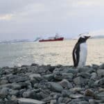 Фотоизложбата