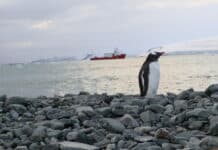 Фотоизложбата