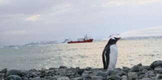 Фотоизложбата