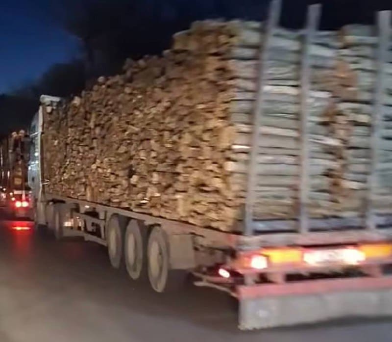 Превозване на дървен материал Снимка Facebook
Десетки камиони които превозват дървен