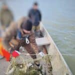 Проверка в Мандра и Вая