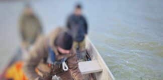 Проверка в Мандра и Вая