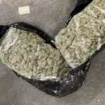 Марихуаната