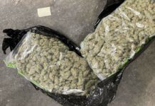 Марихуаната